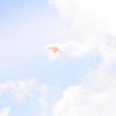 雷霆战神微端下载